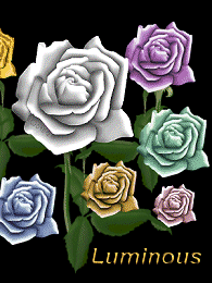 download zip 
luminous roses